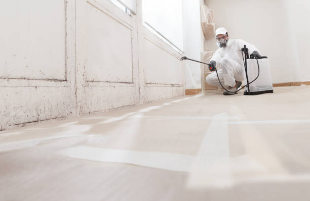 24/7 Emergency Commercial Mold Remediation experts in Cambridge, MA